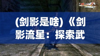 (剑影是啥) 《剑影流星：探索武侠世界中的XO酒之奥秘》 ——品鉴江湖，醉眼看英雄